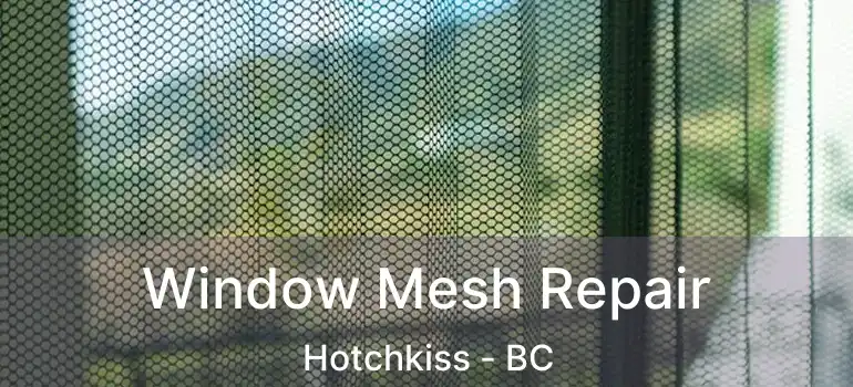  Window Mesh Repair Hotchkiss - BC