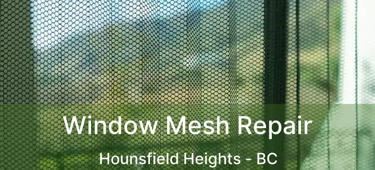  Window Mesh Repair Hounsfield Heights - BC