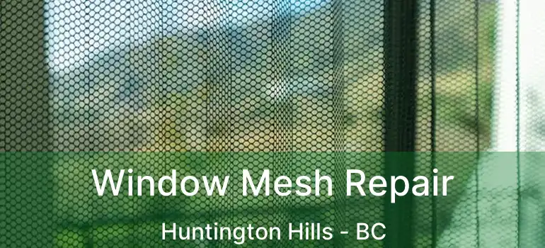  Window Mesh Repair Huntington Hills - BC