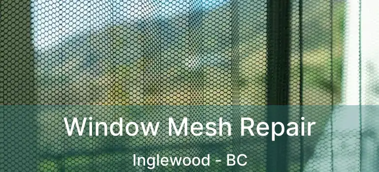  Window Mesh Repair Inglewood - BC