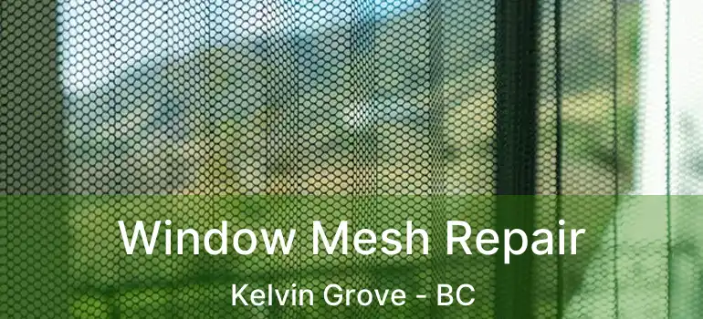  Window Mesh Repair Kelvin Grove - BC