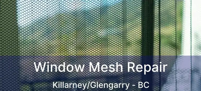  Window Mesh Repair Killarney/Glengarry - BC