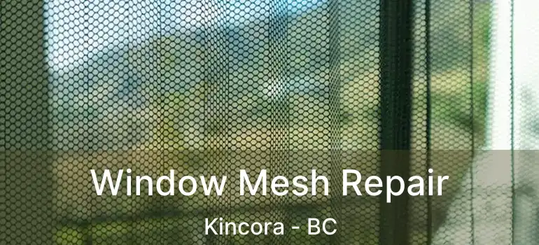 Window Mesh Repair Kincora - BC