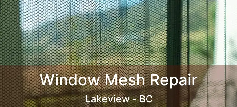  Window Mesh Repair Lakeview - BC