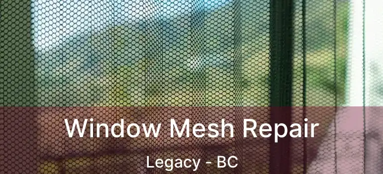  Window Mesh Repair Legacy - BC