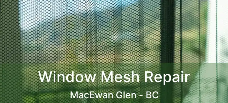  Window Mesh Repair MacEwan Glen - BC