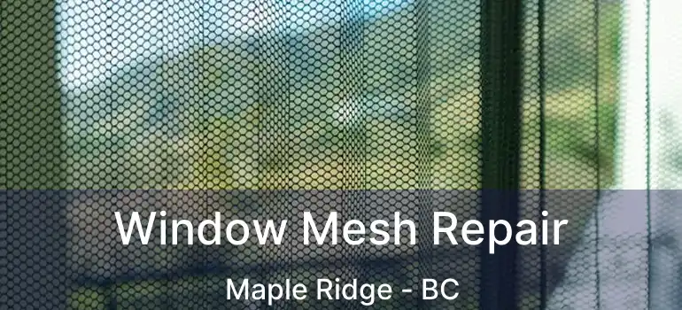  Window Mesh Repair Maple Ridge - BC