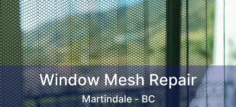  Window Mesh Repair Martindale - BC