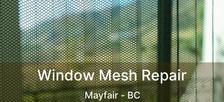  Window Mesh Repair Mayfair - BC