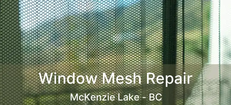  Window Mesh Repair McKenzie Lake - BC