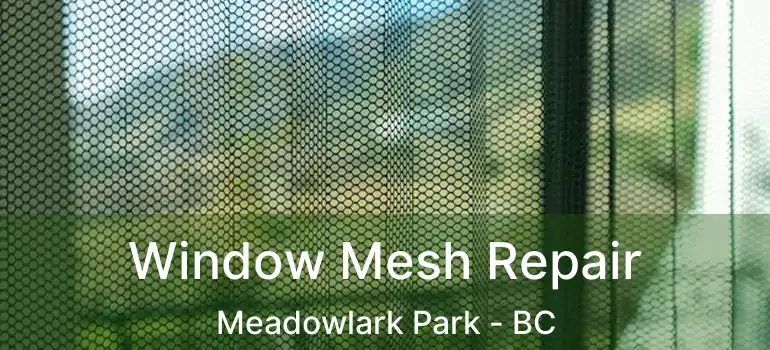  Window Mesh Repair Meadowlark Park - BC