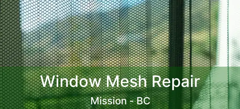  Window Mesh Repair Mission - BC