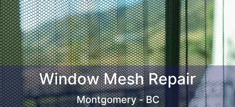  Window Mesh Repair Montgomery - BC