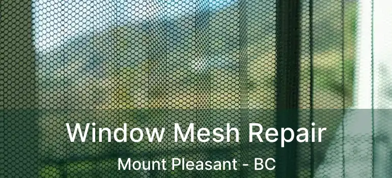  Window Mesh Repair Mount Pleasant - BC