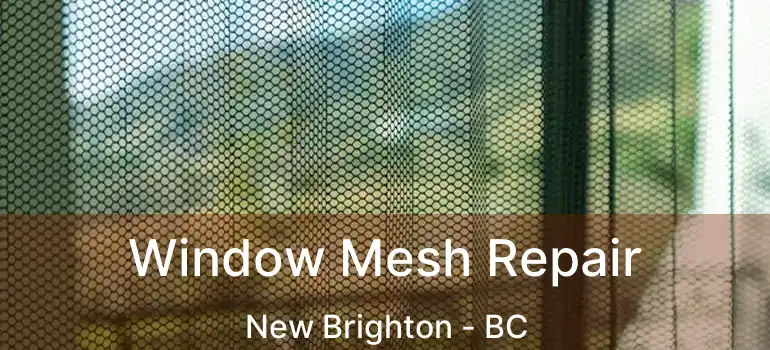  Window Mesh Repair New Brighton - BC