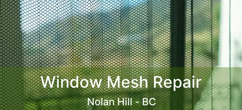 Window Mesh Repair Nolan Hill - BC