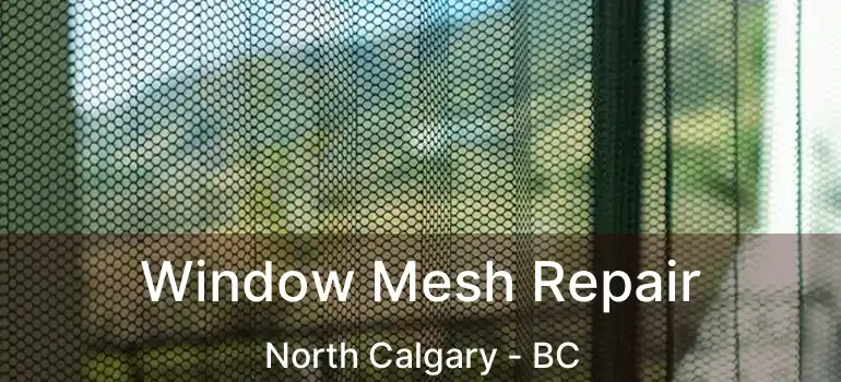  Window Mesh Repair North Calgary - BC