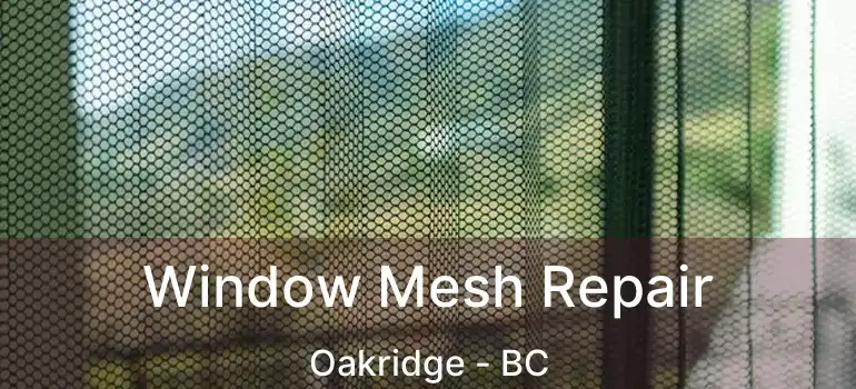  Window Mesh Repair Oakridge - BC