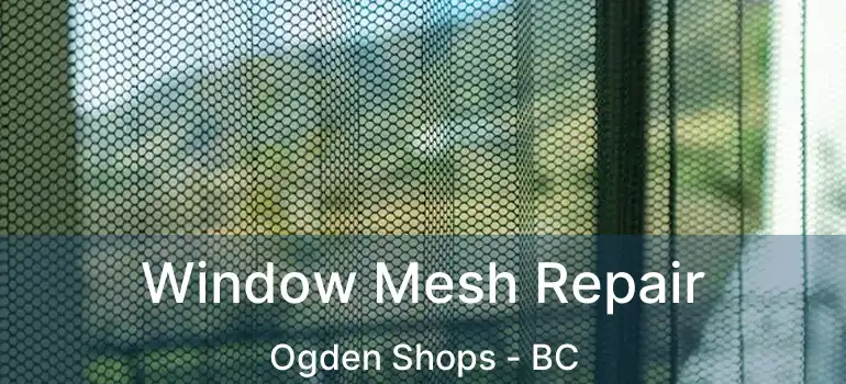  Window Mesh Repair Ogden Shops - BC