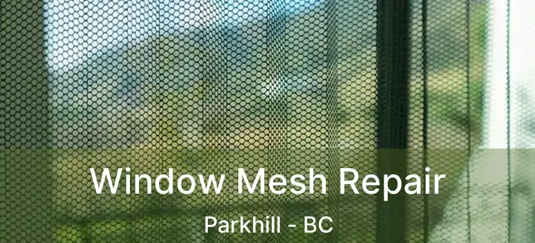  Window Mesh Repair Parkhill - BC