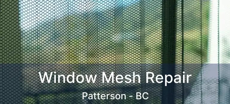  Window Mesh Repair Patterson - BC