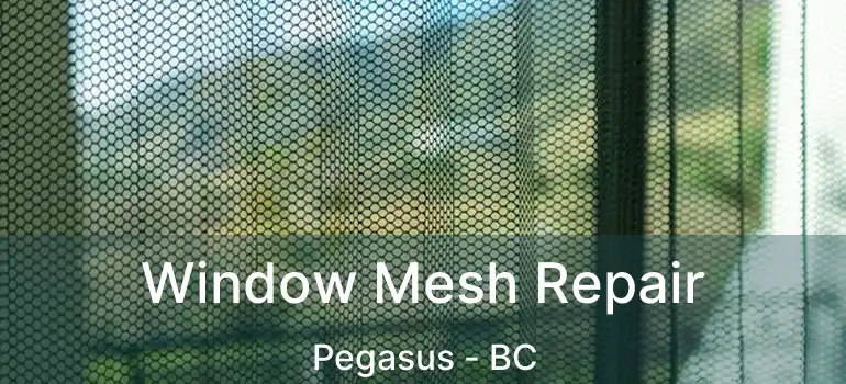  Window Mesh Repair Pegasus - BC