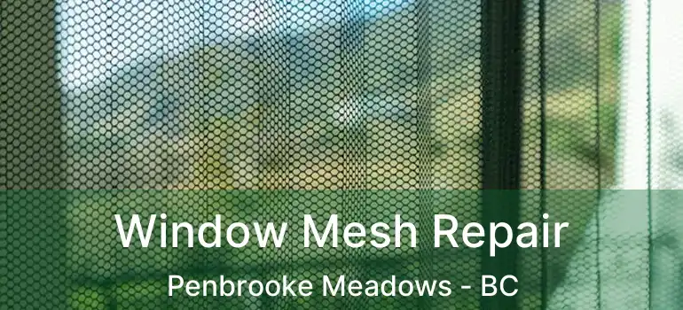  Window Mesh Repair Penbrooke Meadows - BC