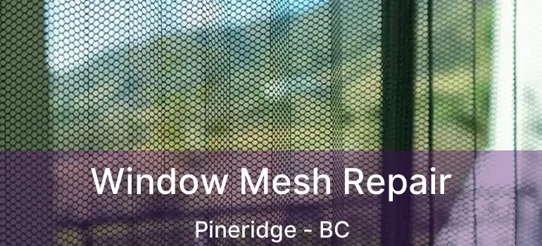  Window Mesh Repair Pineridge - BC