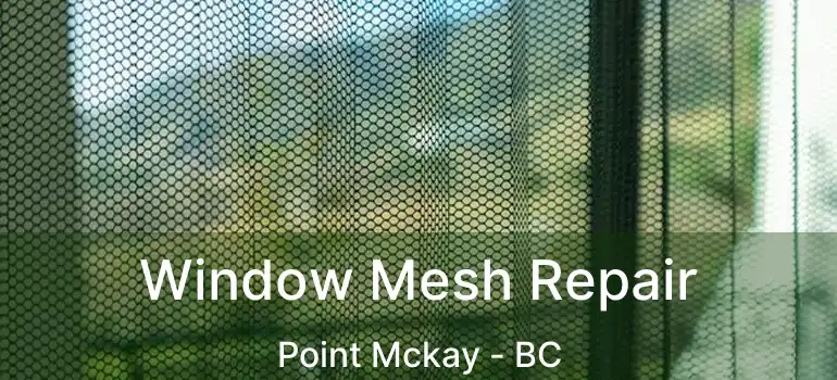  Window Mesh Repair Point Mckay - BC