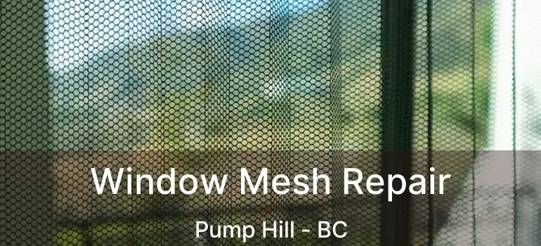  Window Mesh Repair Pump Hill - BC