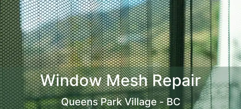 Window Mesh Repair Queens Park Village - BC