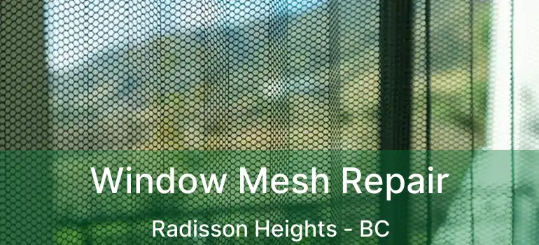  Window Mesh Repair Radisson Heights - BC