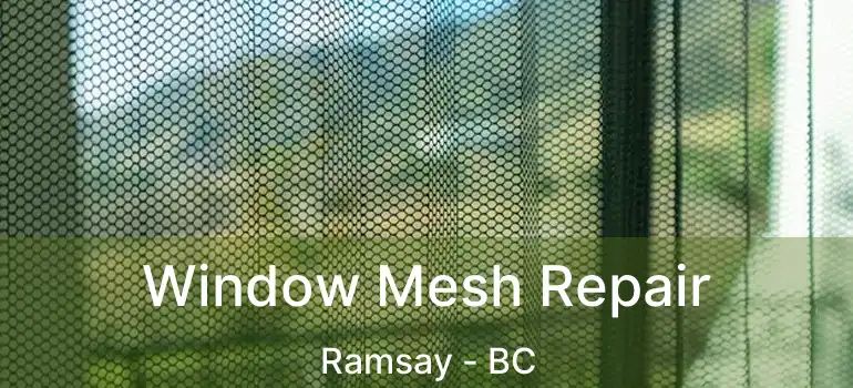  Window Mesh Repair Ramsay - BC