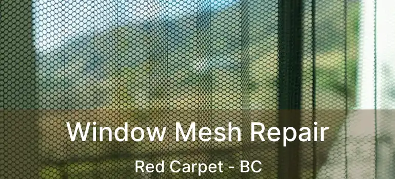  Window Mesh Repair Red Carpet - BC