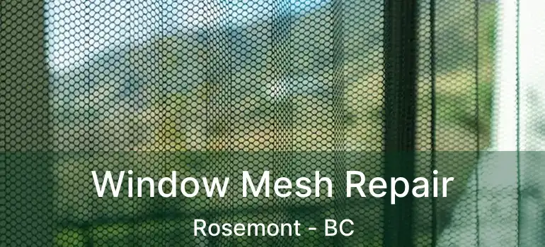  Window Mesh Repair Rosemont - BC