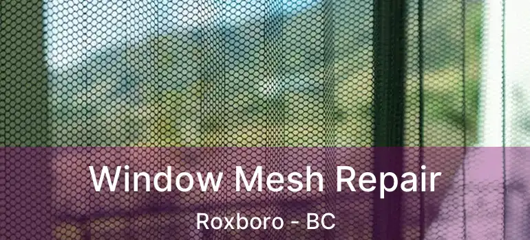  Window Mesh Repair Roxboro - BC
