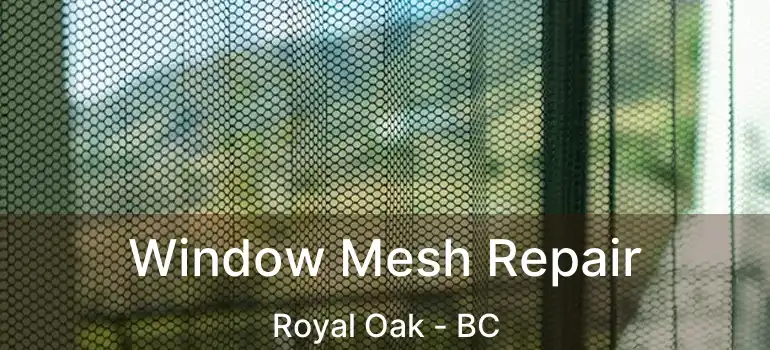  Window Mesh Repair Royal Oak - BC