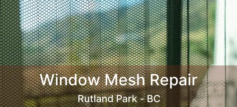  Window Mesh Repair Rutland Park - BC