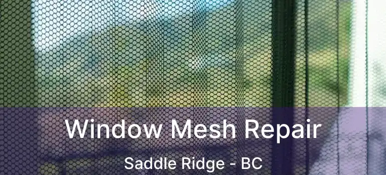  Window Mesh Repair Saddle Ridge - BC