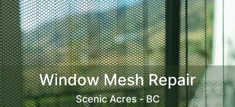 Window Mesh Repair Scenic Acres - BC
