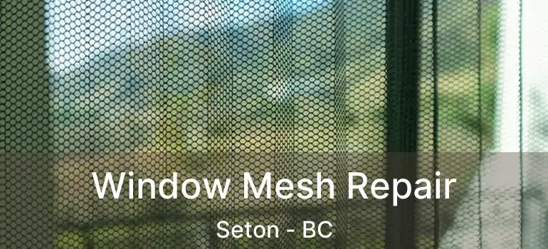  Window Mesh Repair Seton - BC