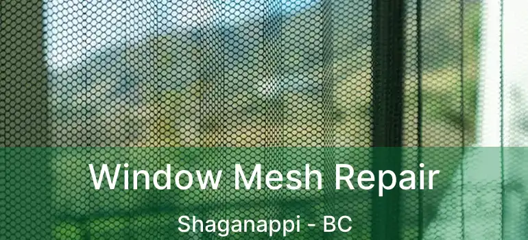  Window Mesh Repair Shaganappi - BC
