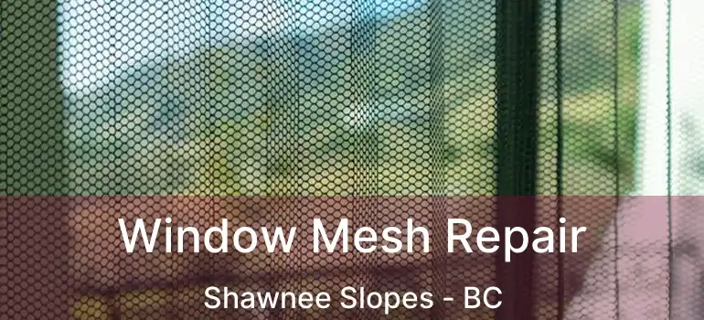  Window Mesh Repair Shawnee Slopes - BC