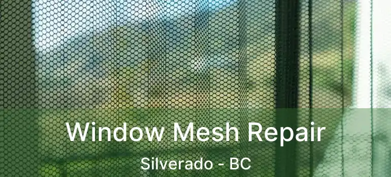  Window Mesh Repair Silverado - BC