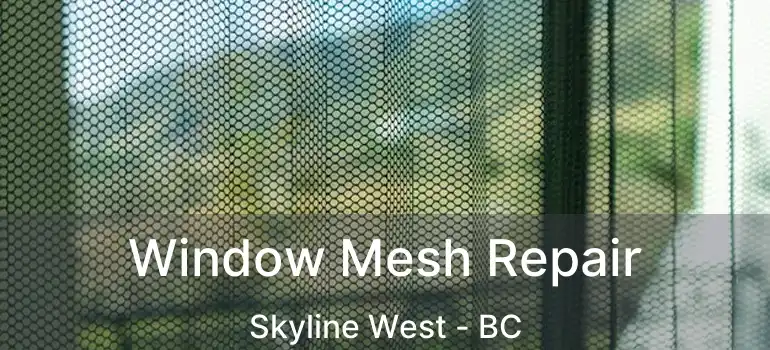  Window Mesh Repair Skyline West - BC