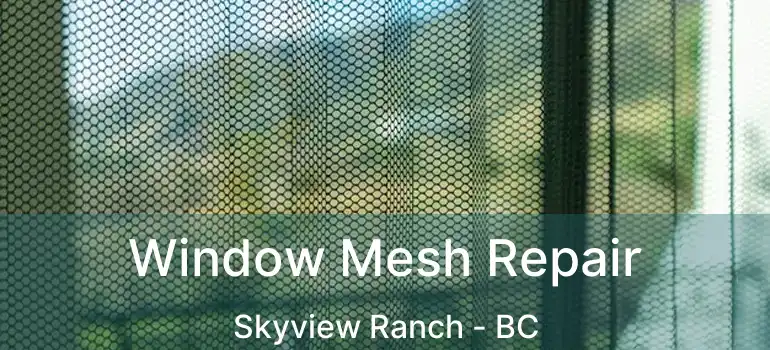  Window Mesh Repair Skyview Ranch - BC