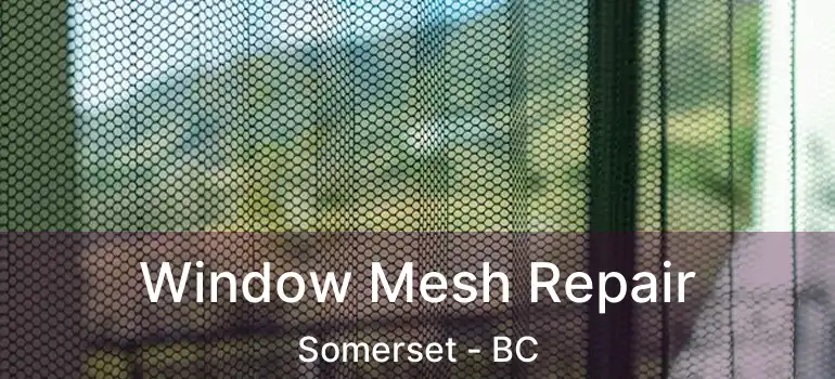  Window Mesh Repair Somerset - BC