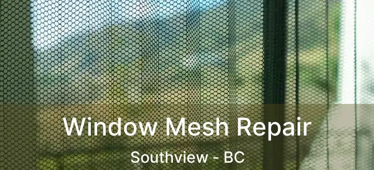  Window Mesh Repair Southview - BC