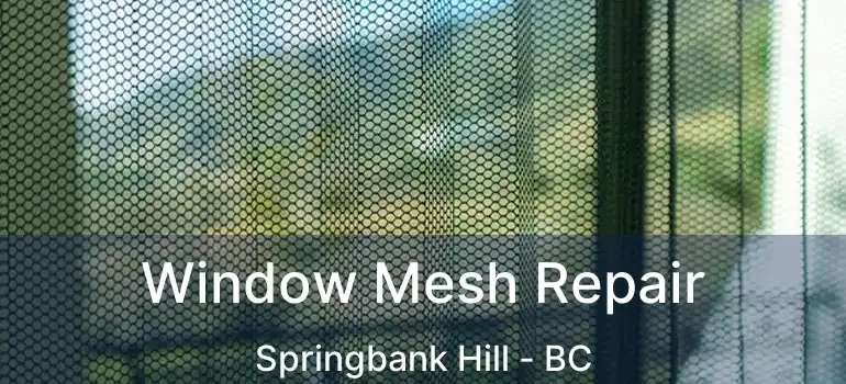  Window Mesh Repair Springbank Hill - BC