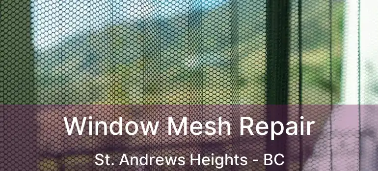  Window Mesh Repair St. Andrews Heights - BC